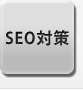 SEO΍